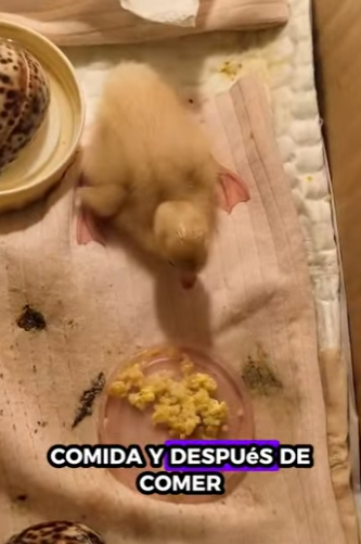 A0302001 Hoy comenzo una nueva vida (Parte 2)