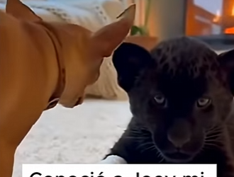 V1302008 A veces, el universo nos pone frente a lo que necesitamos ver (Parte 2)