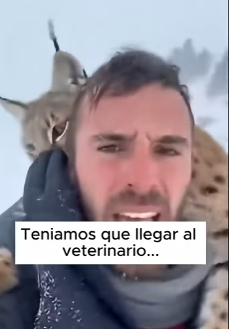 V1302007 La naturaleza no pide permiso para mostrarnos su lado más crudo y real (Parte 2)