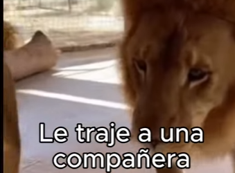 V1302006 Cuando el calor no perdona (Parte 2)