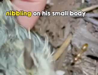 I1702029 woman deserves medal (Part 2)