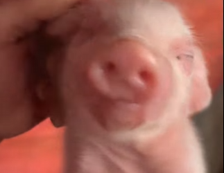 A0302004 La ayuda dio un nuevo camino (Parte 2)