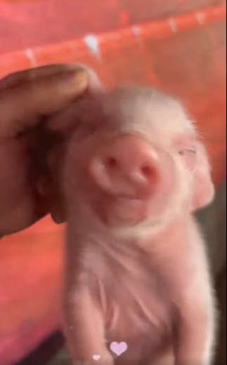 A0302004 La ayuda dio un nuevo camino (Parte 2)