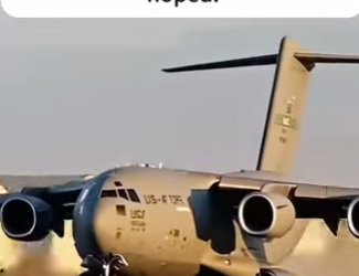 F1302015 dog waiting (Part 2)