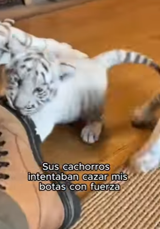 V1302012 ¡Suscríbete! (Parte 2)