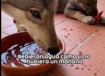 V1302013 ¡Suscríbete! (Parte 2)