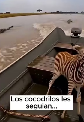 V1302015 Algunas elecciones definen no solo su vida (Part 2)