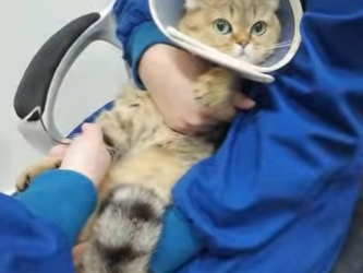 A0302003 El cuidado devolvio la confianza (Parte 2)