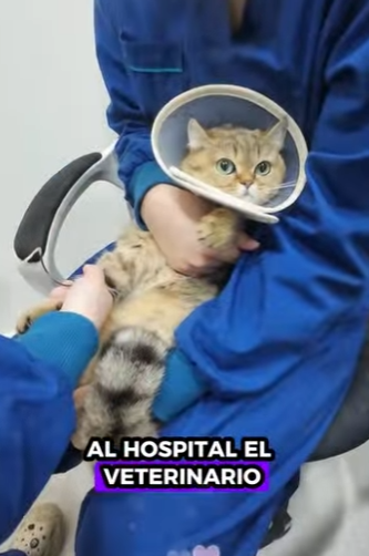 A0302003 El cuidado devolvio la confianza (Parte 2)