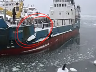 C1302008 Fisherman rescue stranded dog on ice floe (Part 2)