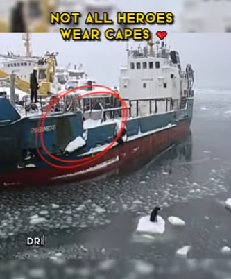 C1302008 Fisherman rescue stranded dog on ice floe (Part 2)