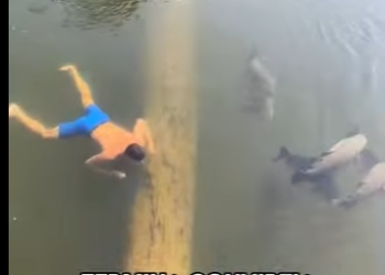 A0302005 La proteccion llego a tiempo (Parte 2)