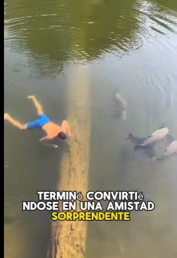 A0302005 La proteccion llego a tiempo (Parte 2)