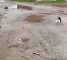 cutest surprise (Part 2)