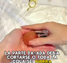 A1602002 A woman performed a small surgery on a goldfish (Parte 2)