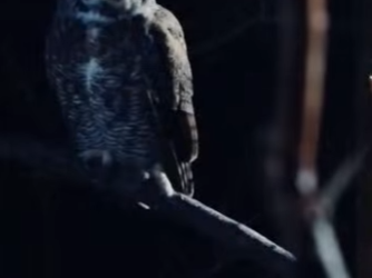 A0302007 Una vida encontro apoyo (Parte 2)