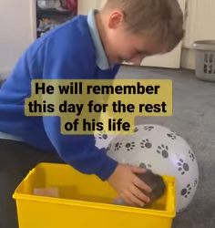 fact he was happy Lego anyways an (Part 2)