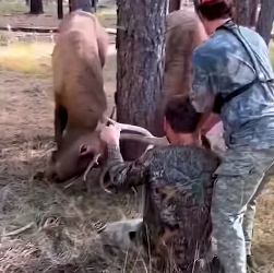 is so brave (Part 2)