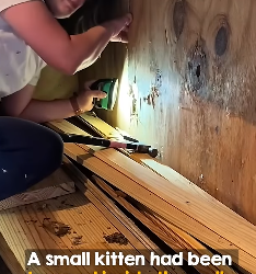 When cute face pops out in end (Part 2)