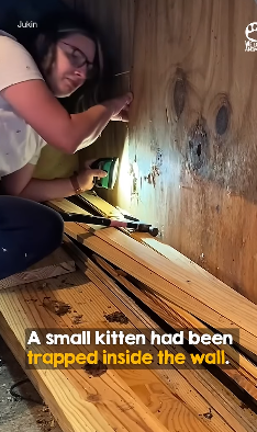 When cute face pops out in end (Part 2)