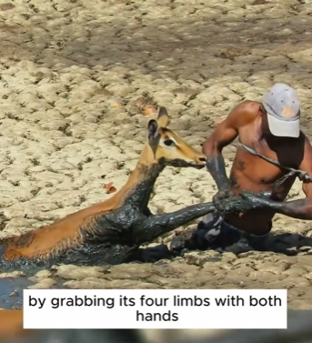 C0202010 Care arrived when it mattered (Part 2)