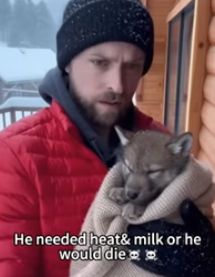 Save the puppy (Part 2)