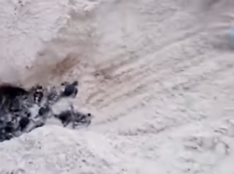 C0202009 A rescue guided by compassion (Part 2)