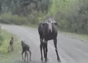 A1602021 If it wasn’t filmed, no one would believe it (Parte 2)