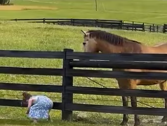 little kisses (PART 2)