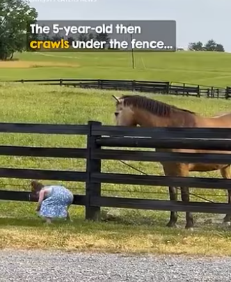 little kisses (PART 2)