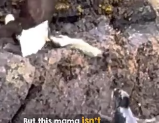 Wonderful mom (PART 2)