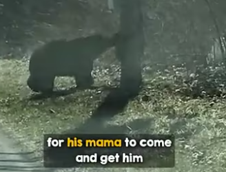 struggles of being mom (PART 2)