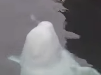 C0202008 This soul finally feels safe (Part 2)