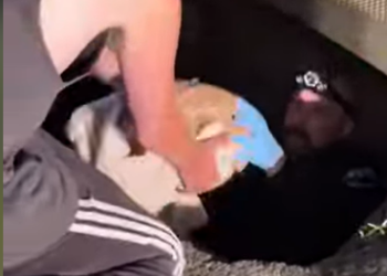 A1602040 The policeman briefly owned a deer for a day (Parte 2)