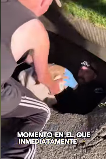 A1602040 The policeman briefly owned a deer for a day (Parte 2)