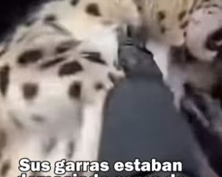 ¡Suscríbete! (PART 2)