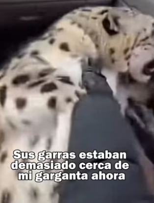 ¡Suscríbete! (PART 2)