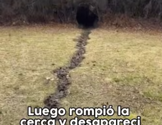 Subscribir! (PART 2)