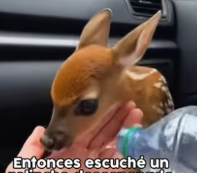 !Dale like y suscríbete! (Part 2)