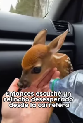 !Dale like y suscríbete! (Part 2)