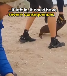 Now loyal friend via Naude Dreyer (Part 2)