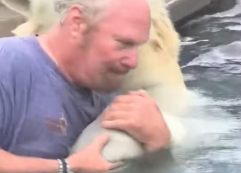 C0202001 A life saved before hope was lost (Part 2)