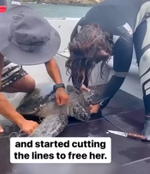 An act of kindness is never wasted (Part 2)