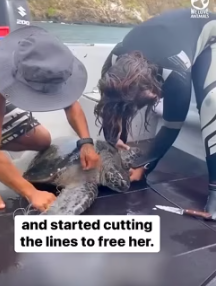 An act of kindness is never wasted (Part 2)