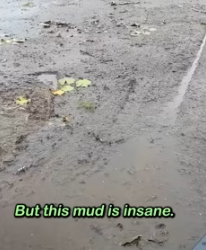 Such brave guy (Part 2)