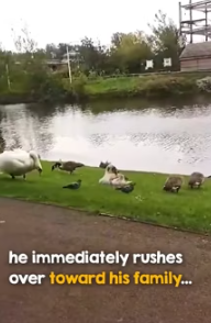 Such beautiful reunion (Part 2)