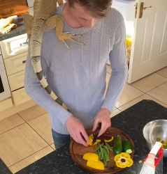 A1602024 Lizard trapped in cement (Part 2)