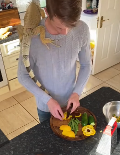 A1602024 Lizard trapped in cement (Part 2)