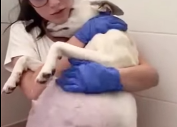 C0202002 Kindness reached this soul in time (Part 2)