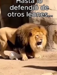 Algunas elecciones definen no solo su vida sino la nuestra Esta historia es para los que aún creen (Part 2)